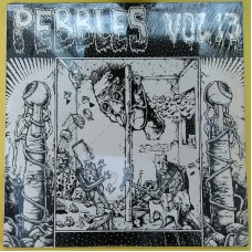 Various PEBBLES Vol. 13 (AIP Records – AIP 10013) USA 1984 compilation LP (Garage Rock, Acid Rock) vinyl: NM (mint-) | cover: NM (mint-)